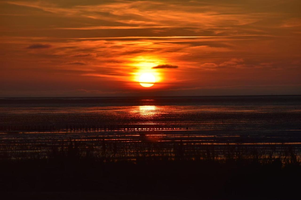 Nordseedeich Friedrichskoog-Spitze Exterior foto